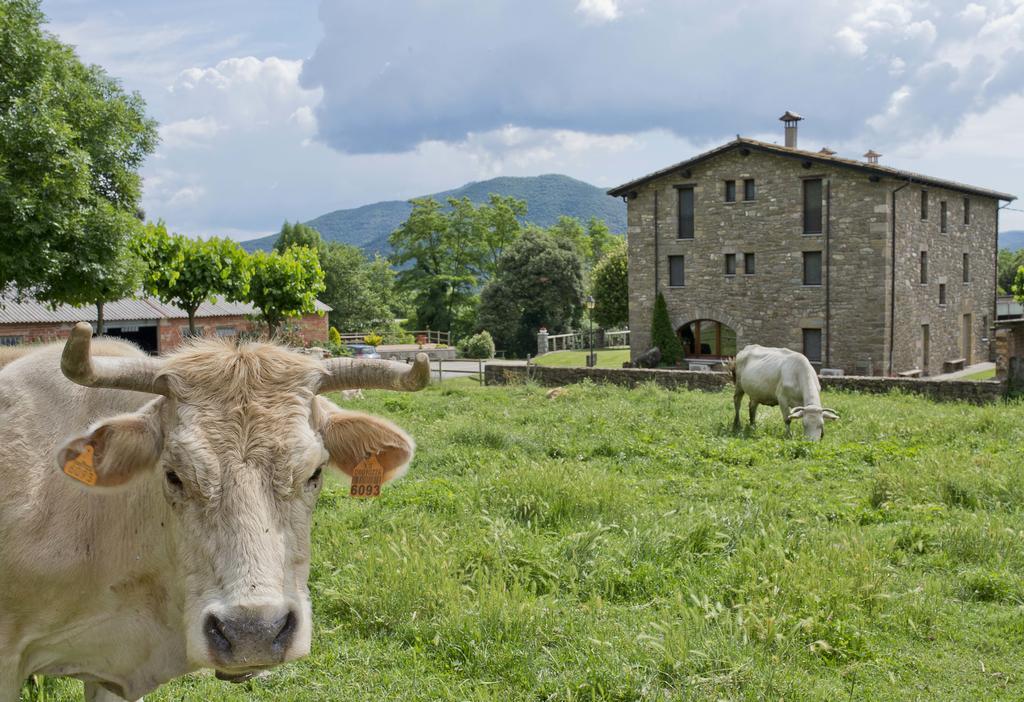 Mas El Ferres Konuk evi Joanetes Dış mekan fotoğraf